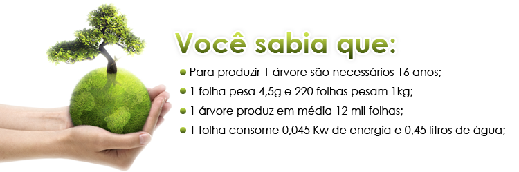 arvore globo